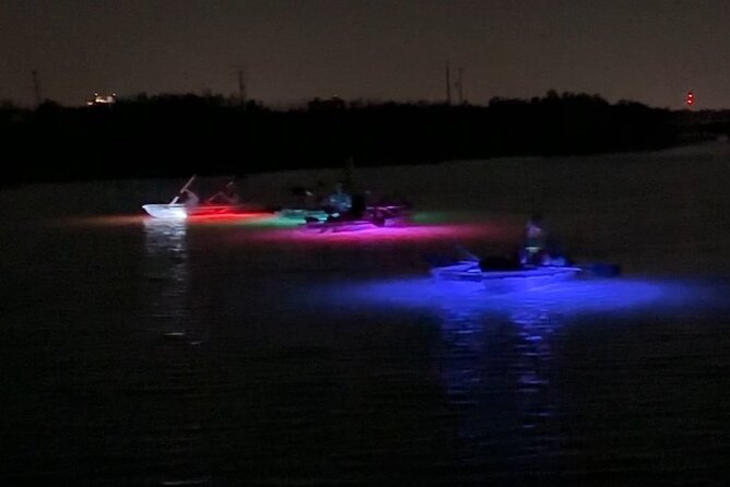 Self-Guided Island Tour: CLEAR/Standard Kayak, SUP-Bonita Springs - Route Highlights: Mangrove Tunnels, Secluded Beaches, and Shelling Stops
