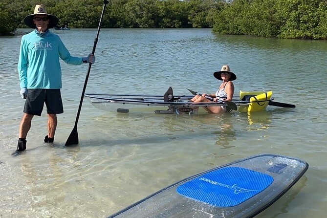 Self-Guided Island Tour: CLEAR/Standard Kayak, SUP-Bonita Springs - Wildlife Expectations: Dolphins, Manatees, and the Birds You’ll Likely See