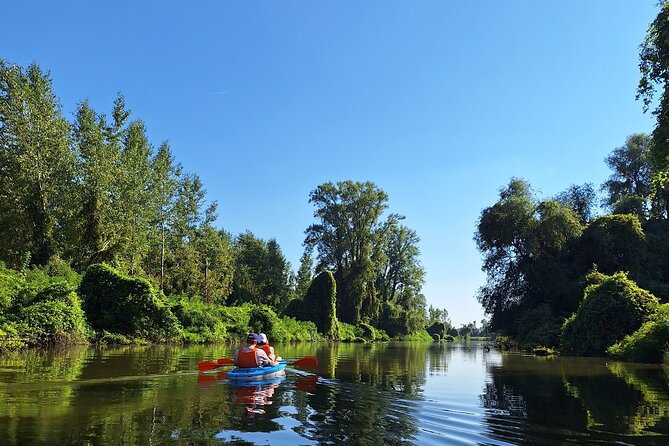 Self-guided kayak tour in Belgrade - Skills, safety, and the weather reality in Belgrade