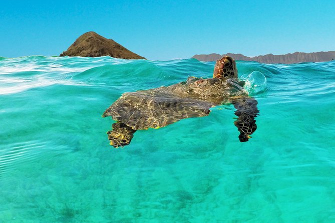 Self-Guided Kayaking Discovery in Kailua, Oahu - Stop 1: Lanikai Beach for snorkeling and an easy rhythm