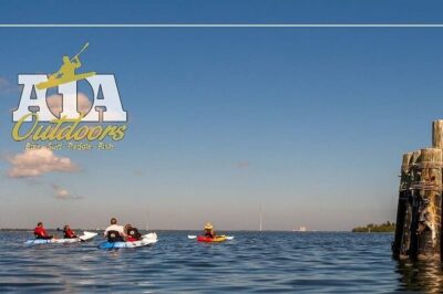 Self-Guided Kayaking Manatee and Dolphin Tour - Manatees and dolphins: how to spot them without a guide