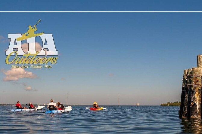 Self-Guided Kayaking Manatee and Dolphin Tour - Manatees and dolphins: how to spot them without a guide