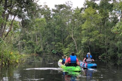 Self-Guided Kayaking: Real Florida Adventure - Key Things You’ll Notice on This Kayak Adventure