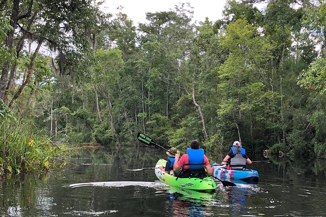 Self-Guided Kayaking: Real Florida Adventure - Key Things You’ll Notice on This Kayak Adventure