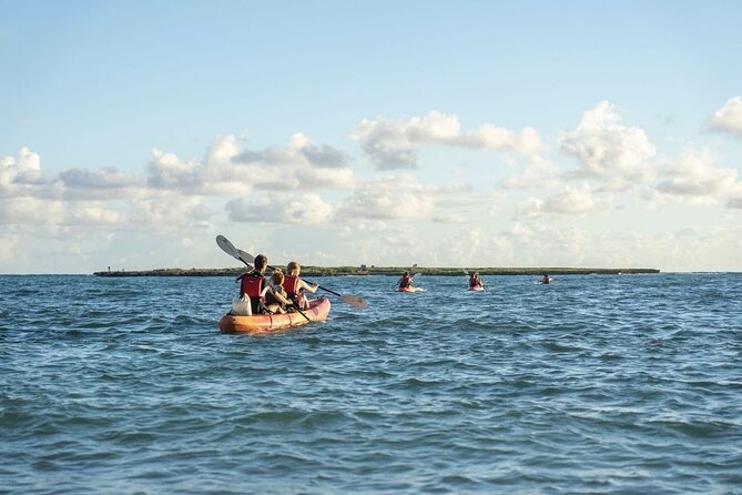 Self-Guided Kayaking Tour in Kailua Bay and Popoia Island - Where it starts at 134b Hamakua Dr (and why your car matters)