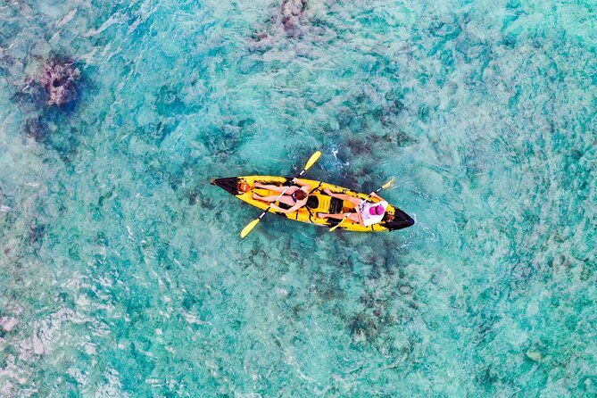 Self-Guided Kayaking Tour in Kailua Bay and Popoia Island - Stop 3 Kailua Bay: reef-protected paddling and turtle habitat