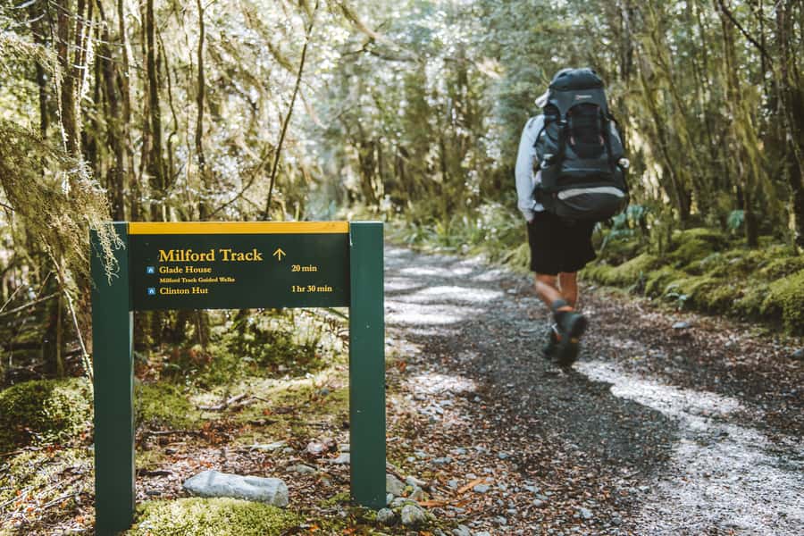 Self-Guided Milford Track Day Walk from Lake Te Anau - Te Anau to Glade Wharf: why the boat ride is more than transport