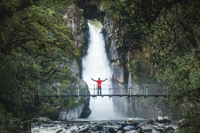 Self-Guided Milford Track Day Walk - Milford Sound - Getting Back to Milford Sound: Easy Pickup When You Follow the Plan