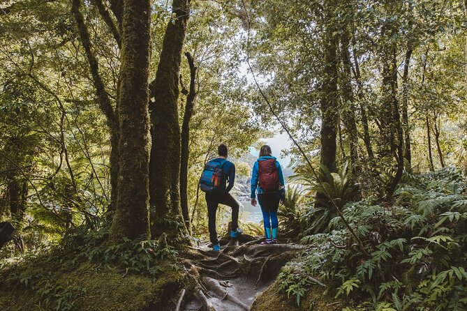 Self-Guided Milford Track Day Walk - Milford Sound - Who This Self-Guided Milford Track Day Walk Is For