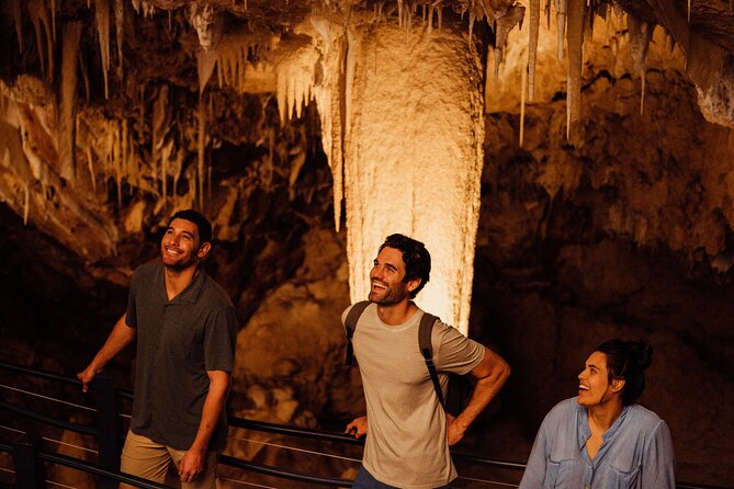 Self-Guided Ngilgi Cave Ancient Lands Experience - Key highlights I think you’ll care about