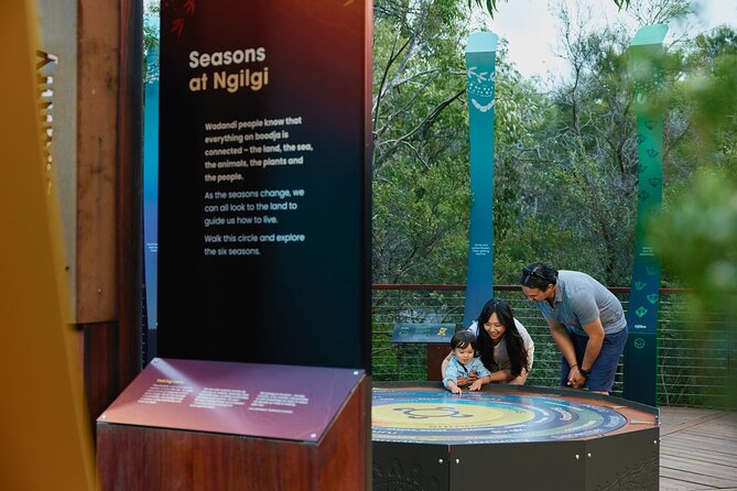 Self-Guided Ngilgi Cave Ancient Lands Experience - Boardwalk time inside the cave: how the self-guided loop works