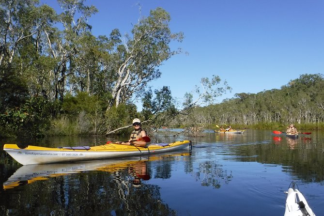 Self-Guided Noosa Everglades Kayak Tour - Key things I’d clock before you paddle