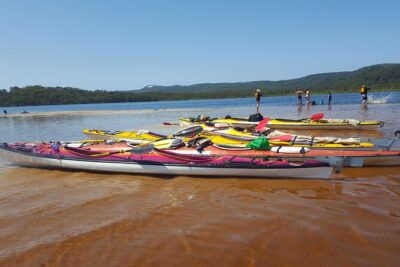 Self-Guided Noosa Everglades Kayak Tour - Six Hours of Self-Guided Flow from Lake Cootharaba to Kinaba