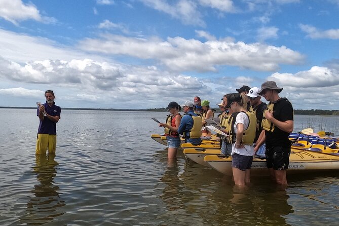 Self-Guided Noosa Everglades Kayak Tour - What You Might See in Great Sandy National Park Waters