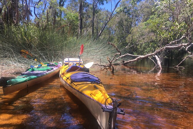 Self-Guided Noosa Everglades Kayak Tour - Price and Value: Is $86.79 Worth It?