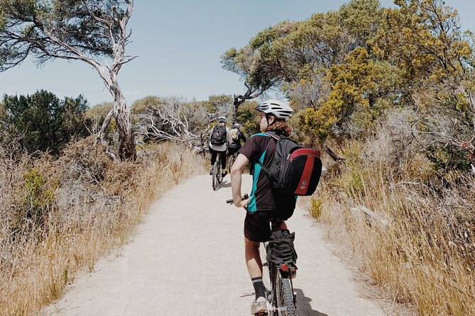 Self-Guided Point Nepean National Park Bike Hire - Price, Inclusions, and What You’ll Actually Save