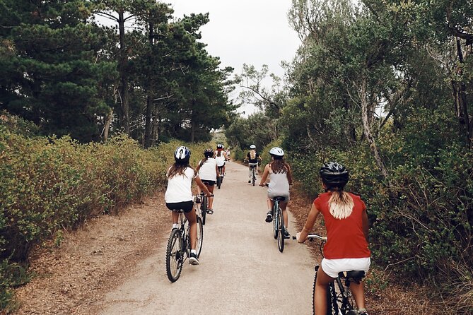 Self-Guided Point Nepean National Park Bike Hire - Should You Book Point Nepean National Park Bike Hire?