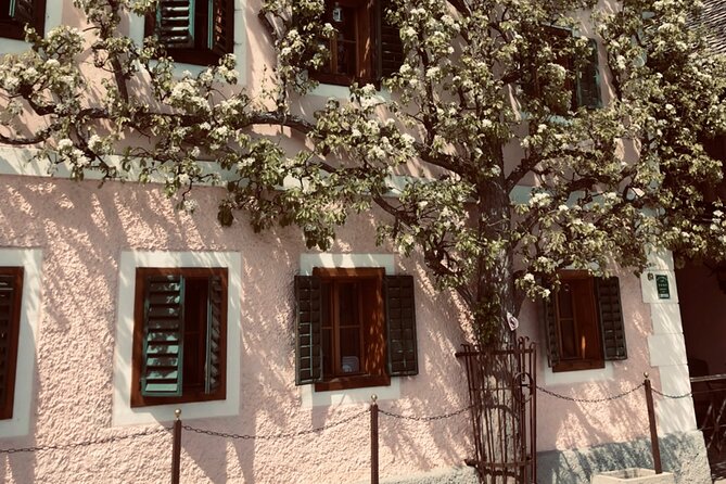 Self-Guided Private Tour of Hallstatt. Best photo-points, panoramic views, cafes - Cultural landscape viewpoint: Dachstein context without paying extra