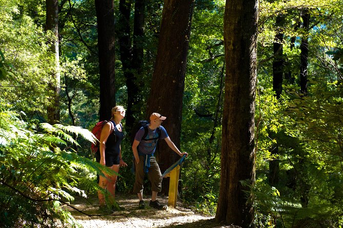 Self-Guided Queen Charlotte Track Walk from Picton - Quick Take: What Makes This Track Walk Worth Your Time