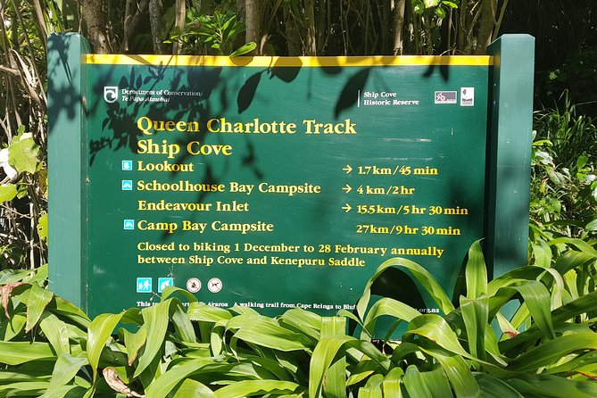 Self-Guided Queen Charlotte Track Walk from Picton - Why This Self-Guided Queen Charlotte Track Works From Picton