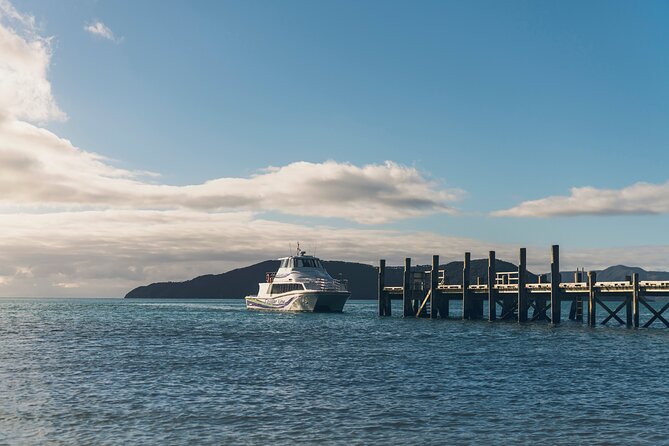 Self-Guided Queen Charlotte Track Walk from Picton - What You’ll Do on the Queen Charlotte Track (and Where You’ll Feel It)