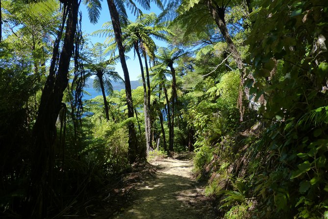 Self-Guided Queen Charlotte Track Walk from Picton - Timing, Weather, and Wildlife: Plan Your Day Like a Pro