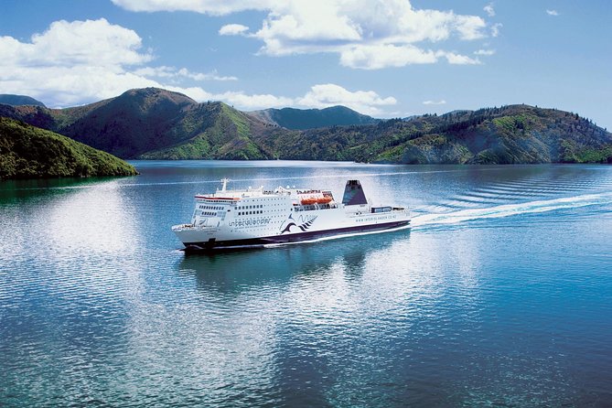 Self-Guided Queen Charlotte Track Walk from Picton - Who This Tour Fits Best (and Who Should Skip It)