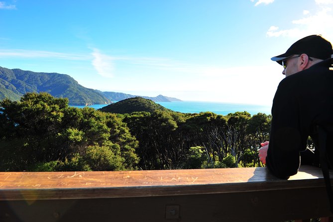 Self-Guided Queen Charlotte Track Walk from Picton - Book It or Skip It?