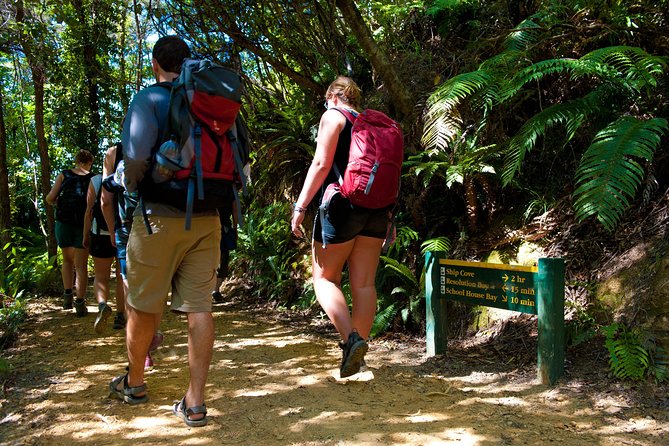 Self-Guided Queen Charlotte Track Walk from Picton - The Boat Ride With Live Commentary on Marlborough Sounds