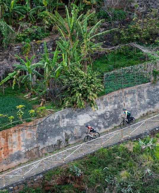 Self-Guided Road E-Bike Tour Ponta São Lourenço to Funchal - Price and what $99 buys on Madeira