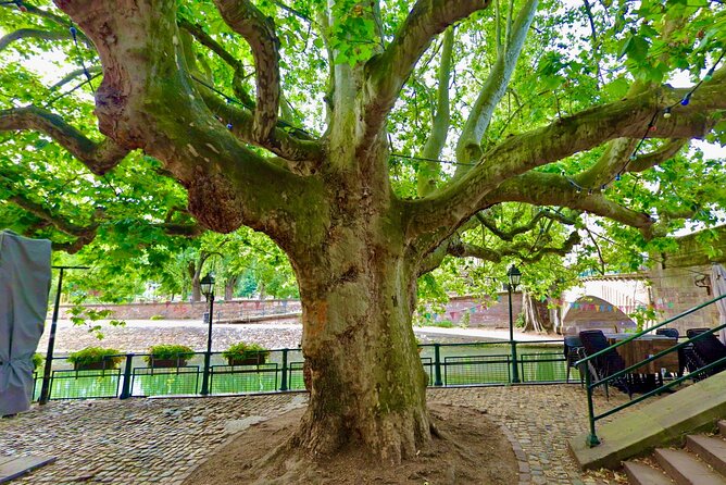Self-Guided Secrets Tour - Explore Strasbourg & Miss Nothing - Parc de l’Orangerie: storks, fountains, and local relaxation