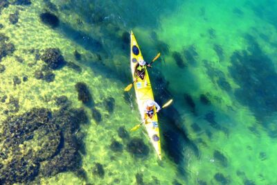 Self-Guided Sydney Middle Harbour Kayak 3 Hour Tour by Double Kayak - Your double deluxe sea kayak: stability you’ll notice