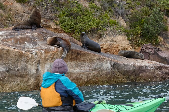 Self-Guided Sydney Middle Harbour Kayak 3 Hour Tour by Double Kayak - Price and value: is $107.59 per group a good deal?