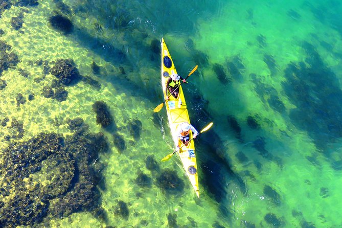 Self-Guided Sydney Middle Harbour Kayak 3 Hour Tour by Double Kayak - Your double deluxe sea kayak: stability you’ll notice