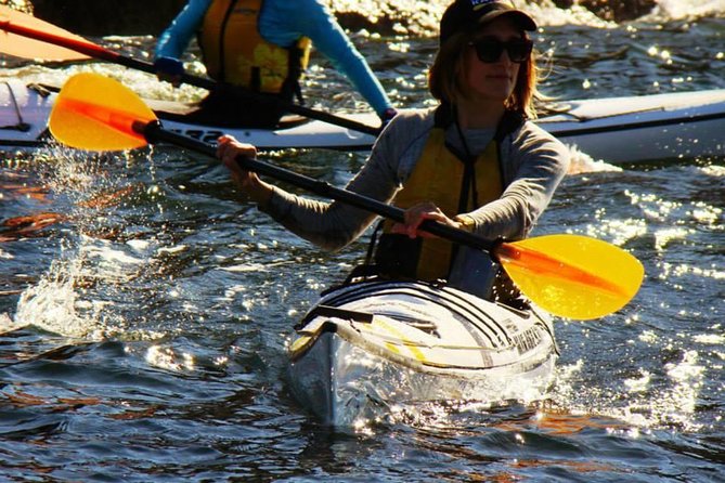 Self-Guided Sydney Middle Harbour Kayak 3 Hour Tour by Single Kayak - Why Middle Harbour by kayak changes how you see Sydney