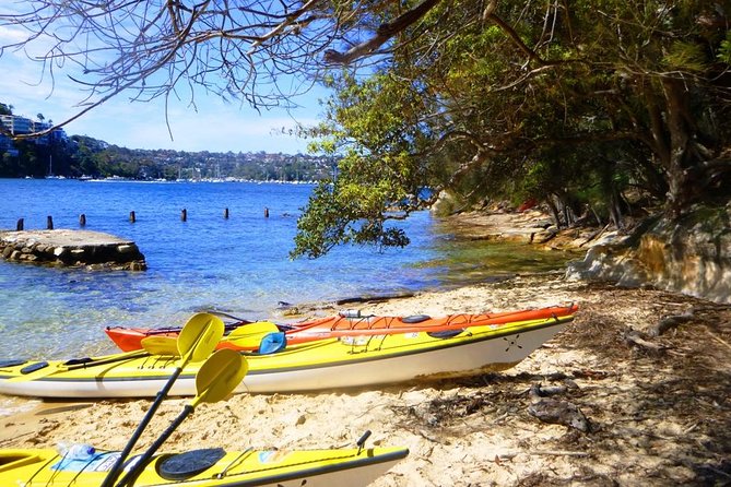 Self-Guided Sydney Middle Harbour Kayak 3 Hour Tour by Single Kayak - What to expect from the kayak itself (and how it affects effort)