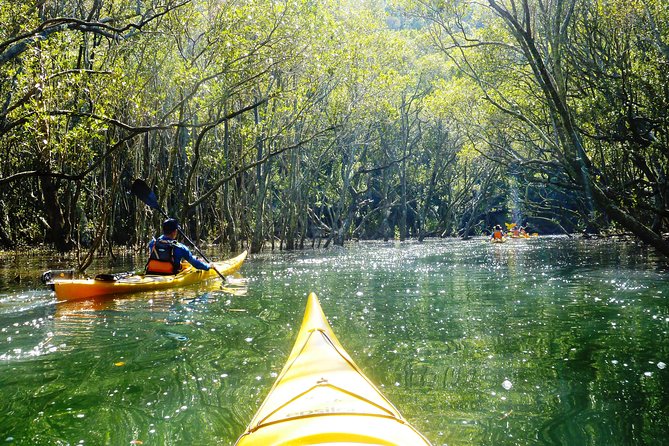 Self-Guided Sydney Middle Harbour Kayak 3 Hour Tour by Single Kayak - How self-guided works: map, advice, and setting your own pace