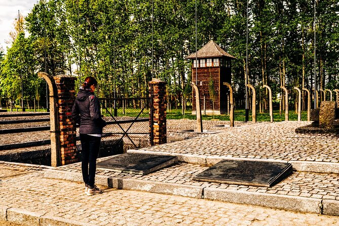 Self-Guided Tour of Auschwitz-Birkenau Museum with Transportation - Price and value: is $40.51 a good deal?