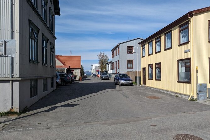 Self-Guided Tour of Ísafjörður: Art, History, and Architecture - Sjúkrahúsið Old Hospital and Jónsgarður Park’s Whalebone Arch