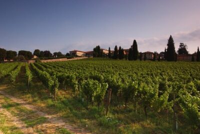 Self-guided Wine tour in Franciacorta, Full-Day Experience with Lunch - Erbusco Winery Stop: The Franciacorta Method Explained (Like Champagne)
