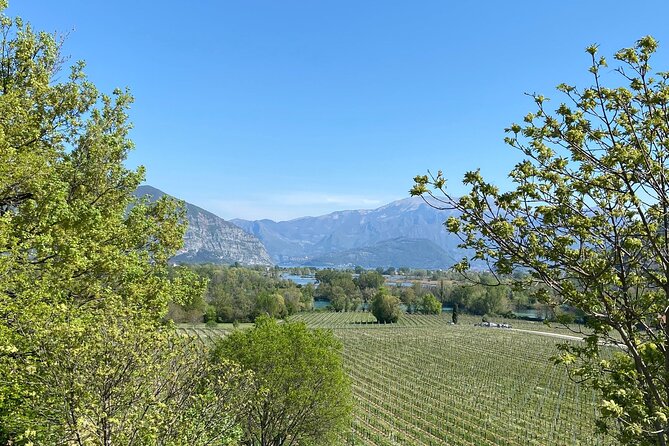 Self-guided Wine tour in Franciacorta, Full-Day Experience with Lunch - Price and Value: What You’re Really Paying For