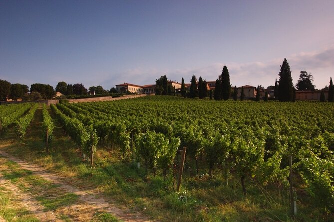 Self-guided Wine tour in Franciacorta, Full-Day Experience with Lunch - Erbusco Winery Stop: The Franciacorta Method Explained (Like Champagne)