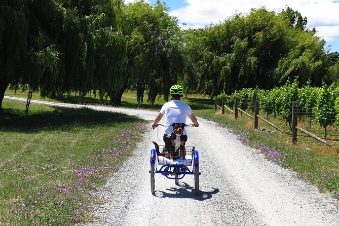Self-Guided Wine Tours by Bike with Lorelle & Greg - The Day Timeline: Two Time Slots and a Shuttle That Lets You Breathe