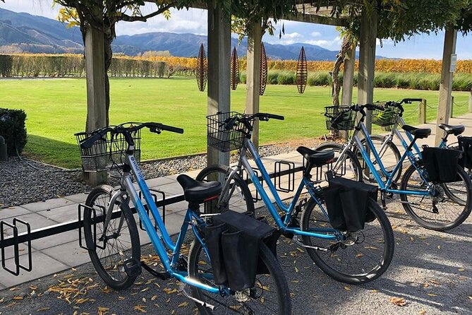 Self-Guided Wine Tours by Bike with Lorelle & Greg - Who This Bike Wine Day Fits Best