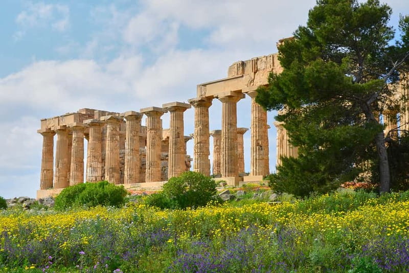 Selinunte: Archeological Park Entry Ticket & App Audioguide - Key Highlights at Selinunte