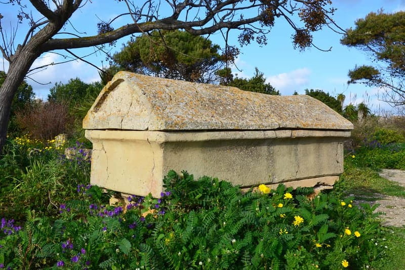 Selinunte: Archeological Park Entry Ticket & App Audioguide - Sanctuary of Malophoros: Where the Site Feels Spiritual