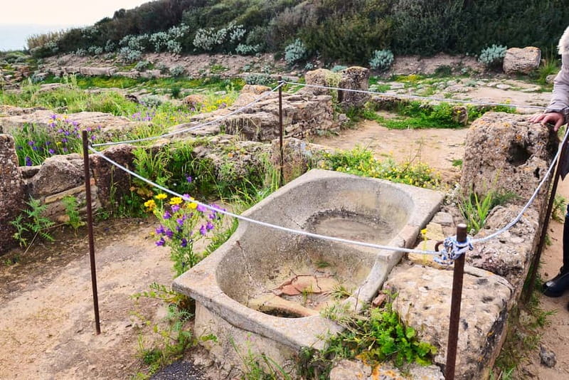 Selinunte: Archeological Park Entry Ticket & App Audioguide - Seven Temples and the Doric Order You Can Actually Study