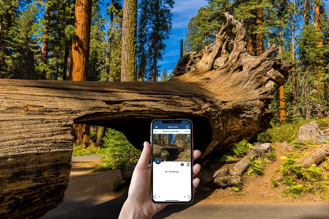 Sequoia & Kings Canyon NP Self-Guided Driving Audio Tour - Giant Forest Museum and Generals Highway Lookouts: quick stops that stack up