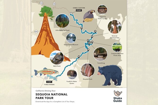 Sequoia National Park Self-Guided Audio Tour - Panoramic Stops That Make the Drive Feel Like Sightseeing