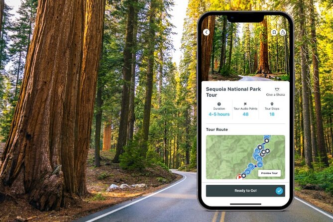 Sequoia National Park Self-Guided Audio Tour - GPS Audio That Keeps You Moving (Without Feeling Lost)